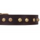 Brown Leather Dog Collar with Brass Plated Decor - Flowers & Twigs" Handcrafted by Artisan""
