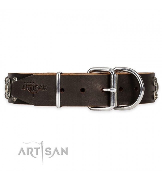 Brown Checkered Luxury Collar – Mixed Breed