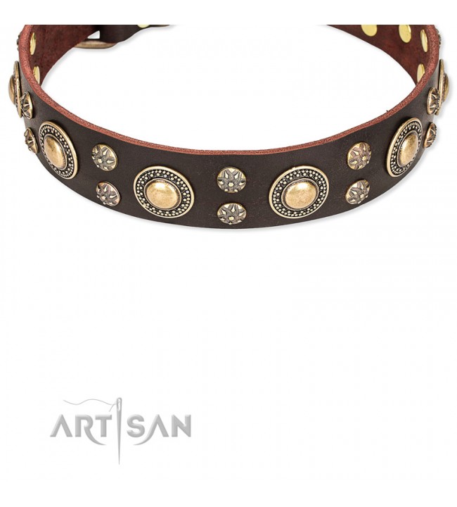 Luxury dog collar in yellow black or brown with elegant ornaments, design  Brave - Superpipapo
