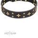 Black Leather Dog Collar with Brass Decor - Fine Stars" Handcrafted by Artisan"