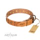 Tan Leather Dog Collar with Brass Decor - Jaunty Stars" Handcrafted by Artisan"