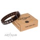 Brown Leather Dog Collar with Chrome-plated Decor - Magnificent Shields Handcrafted by Artisan"