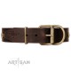Studded Brown Leather Dog Collar with Brass Plated Decor - Studded Beauty" Handcrafted by Artisan"