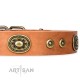 Decorated Tan Leather Dog Collar - Studded Finesse" Brass Decor Handcrafted by Artisan"