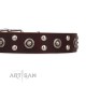 Brown Leather Dog Collar with Chrome-plated Decor - Ultimate Gift" Handcrafted by Artisan"