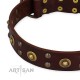 Brown Leather Dog Collar with Brass Decor - Golden Gift" Handcrafted by Artisan"