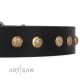Black Leather Dog Collar with Brass Plated Decor - Flowers & Twigs" Handcrafted by Artisan""
