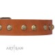 Tan Leather Dog Collar with Brass Plated Decor - Flowers & Twigs" Handcrafted by Artisan""