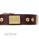 Brown Leather Dog Collar with Plates - Strict & Confident" Handcrafted by Artisan"