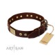 Brown Leather Dog Collar with Plates - Strict & Confident" Handcrafted by Artisan"