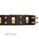 Spiked Leather Dog Collar with Brass Plated Decor - Hip & Edgy" Handcrafted by Artisan"