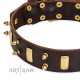 Spiked Leather Dog Collar with Brass Plated Decor - Hip & Edgy" Handcrafted by Artisan"