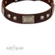 Brown Leather Dog Collar with Chrome Plated Skulls & Plates - Audacious and Edgy" Decor by Artisan"