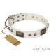 White Leather Dog Collar with Chrome Plated Skulls & Plates - Audacious and Edgy" Decor by Artisan"