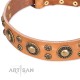 Tan Leather Dog Collar with Brass Decor - Sophisticated Circles Handcrafted by Artisan""