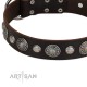 Decorated Brown Leather Dog Collar - "Vintage Elegance" Chrome Plated Decor by Artisan