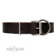 Brown Classic Design Leather Dog Collar by Artisan for Daily Walking