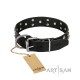 Leather Dog Collar with Chrome-plated Decor - Buccaneer Style" Handcrafted by Artisan"