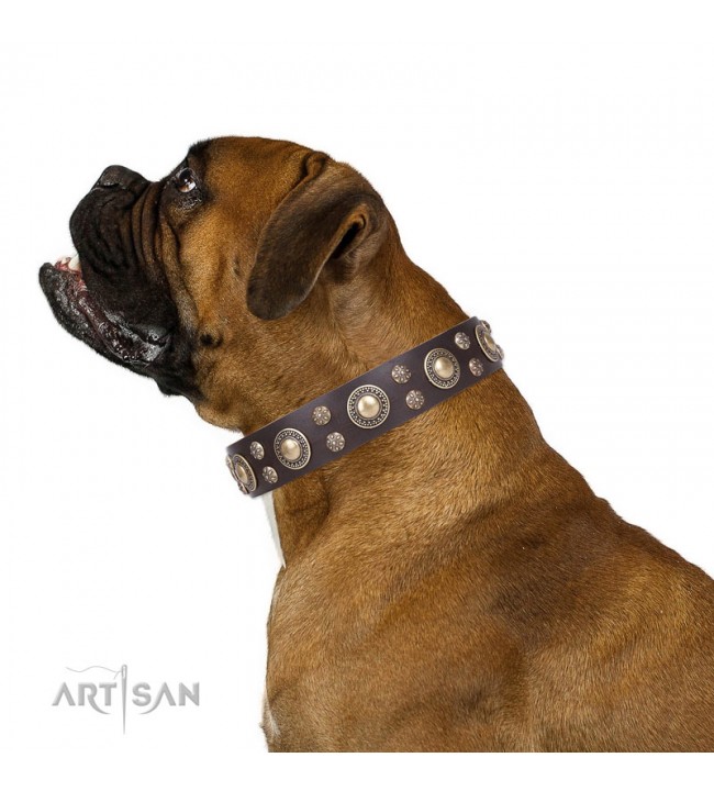 Luxury dog collar in yellow black or brown with elegant ornaments, design  Brave - Superpipapo