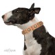 Tan Leather Dog Collar with Brass Decor - Sophisticated Circles Handcrafted by Artisan""