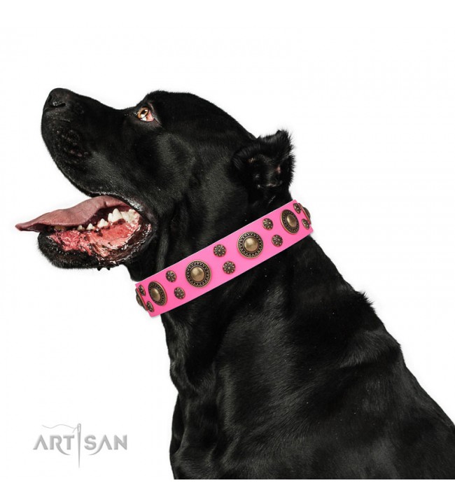 Dior - Dog Leash & Collar Set Leather PU - Beige - Pet Supply Mafia
