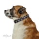 Black Leather Dog Collar with Brass and Chrome-plated Decor - Fabulous Circles Handcrafted by Artisan""