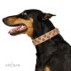 Tan Leather Dog Collar with Brass and Chrome-plated Decor - Sophisticated Circles Handcrafted by Artisan""