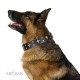 Black Leather Dog Collar with Brass Decor - Fine Stars" Handcrafted by Artisan"
