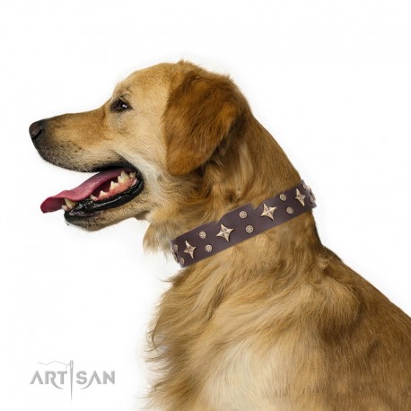 Brown Leather Dog Collar with Brass Decor - Dainty Stars Handcrafted by Artisan""
