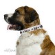 White Leather Dog Collar with Chrome-plated Decor - Elegant Squares Handcrafted by Artisan""