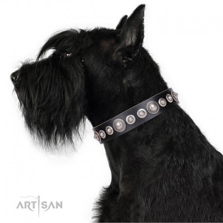 Black Leather Dog Collar with Chrome-plated Decor - Glorious Shields" Handcrafted by Artisan""