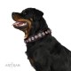 Brown Leather Dog Collar with Chrome-plated Decor - Magnificent Shields Handcrafted by Artisan"