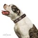 Studded Brown Leather Dog Collar with Brass Plated Decor - Studded Beauty" Handcrafted by Artisan"