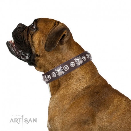 Decorated Brown Leather Dog Collar - Delicacy & Refinement" Handcrafted by Artisan"