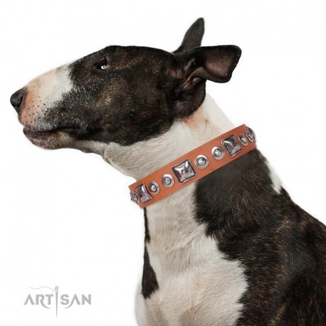 Tan Leather Dog Collar - Delicacy & Refinement" Handcrafted by Artisan"
