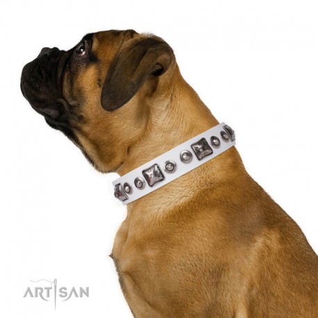 Decorated White Leather Dog Collar - Delicacy & Refinement" Handcrafted by Artisan"