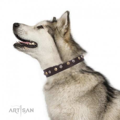 Studded Brown Leather Dog Collar - "Flourishing Beaute" Handcrafted by Artisan