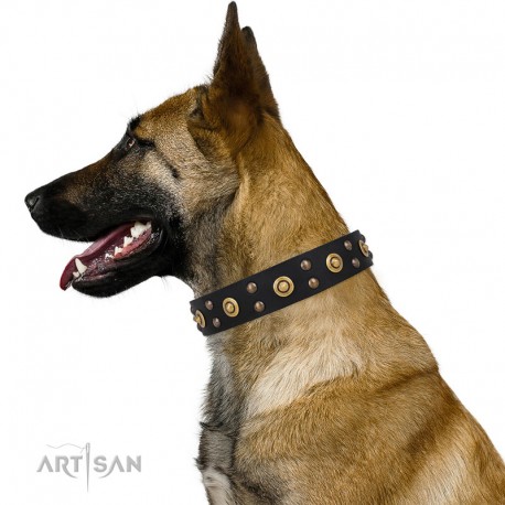 Black Leather Dog Collar with Brass Decor - Golden Gift" Handcrafted by Artisan"