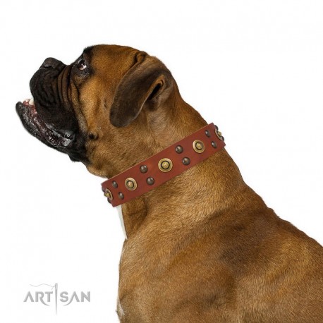 Tan Leather Dog Collar with Brass Decor - Golden Gift" Handcrafted by Artisan"