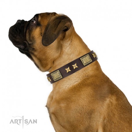 Brown Leather Dog Collar with Brass Plated Decor - Old Bronze Style" Handcrafted by Artisan"