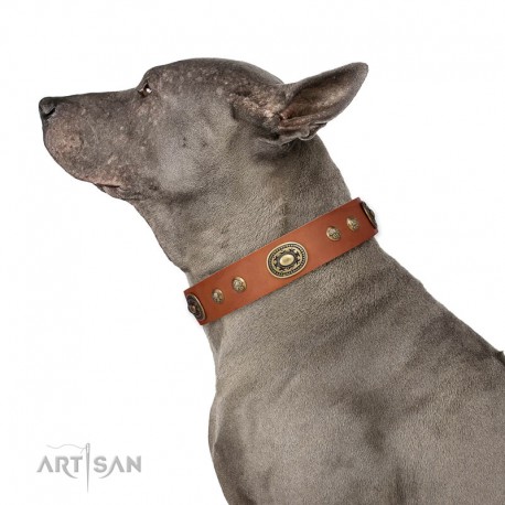 Elegant Tan Leather Dog Collar with Brass Decor - Vintage Chic" Handcrafted by Artisan"