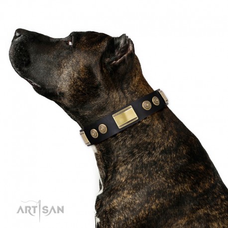 Black Leather Dog Collar with Brass Decor - Vintage Trimness" Handcrafted by Artisan"