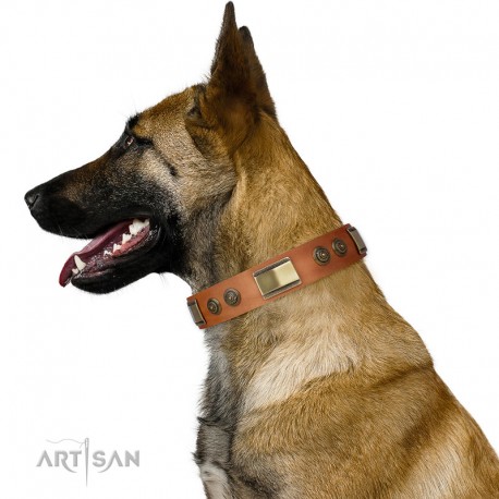 Tan Leather Dog Collar with Brass Decor - Vintage Trimness" Handcrafted by Artisan"