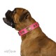 Pink Leather Dog Collar with Brass Decor - Vintage Trimness" Handcrafted by Artisan"