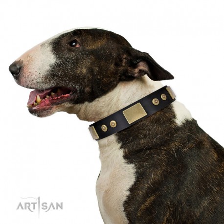 Black Leather Dog Collar with Plates - "Strict & Confident" Handcrafted by Artisan