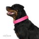 Pink Classic Design Leather Dog Collar by Artisan for Daily Walking