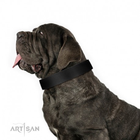 Black Classic Design Leather Dog Collar by Artisan for Daily Walking