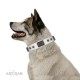 White Leather Dog Collar with Chrome Plated Skulls & Plates - Audacious and Edgy" Decor by Artisan"