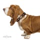 Handmade Brown Leather Dog Collar - Plates'n'Skulls" Decor by Artisan"