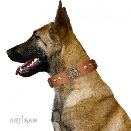 Handmade Tan Leather Dog Collar - Plates'n'Skulls" Decor by Artisan"